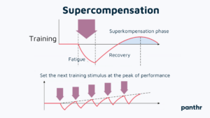 Supercompensation and overtraining